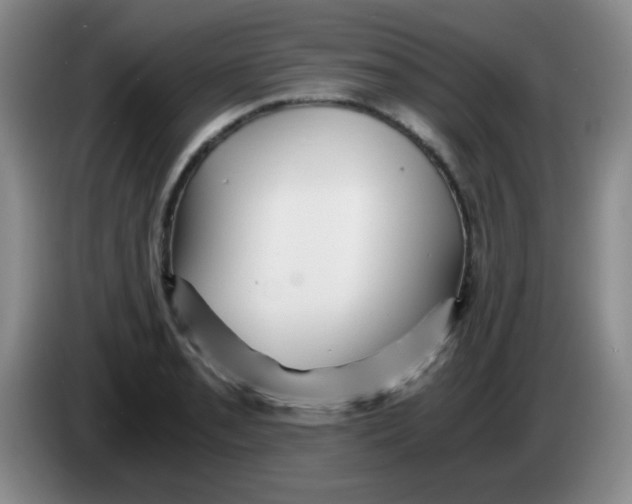 X0000083981085200703091819