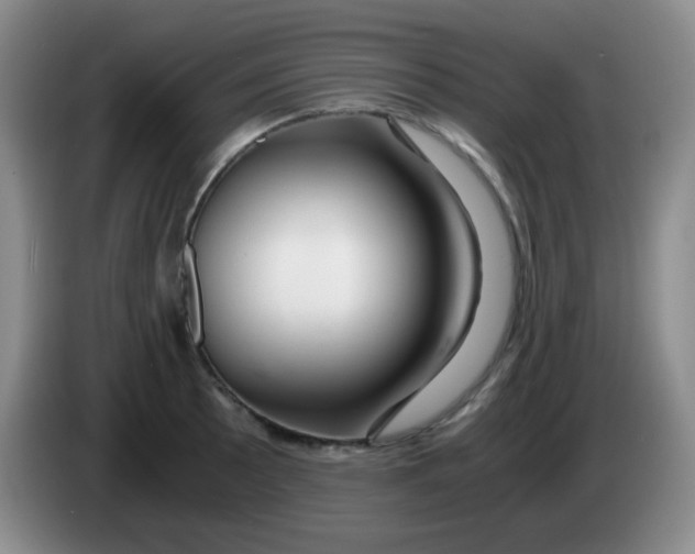 X0000083981089200703091818