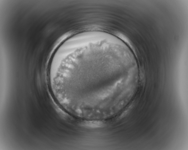 X0000083981090200703091818