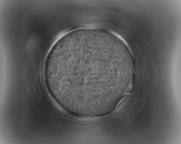 X0000083981091200703091818