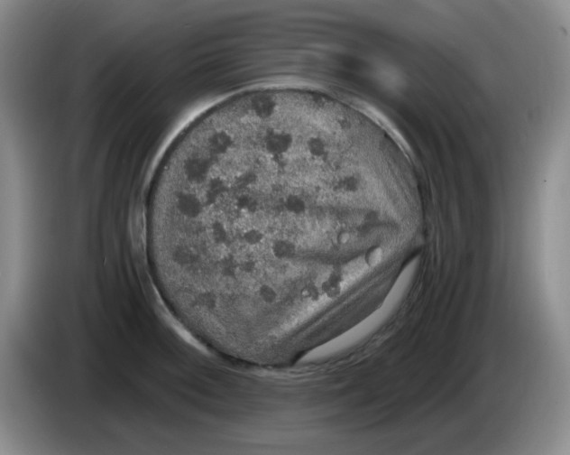 X0000083981092200703091818