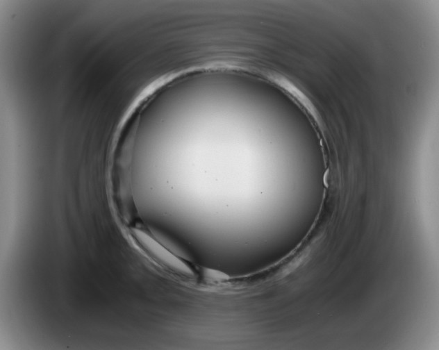 X0000083981093200703091818