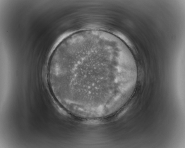 X0000083981094200703091818