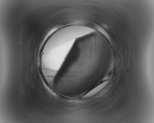 X0000083981095200703091818