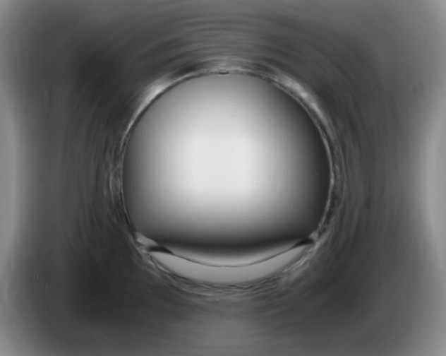 X0000083981097200703091818