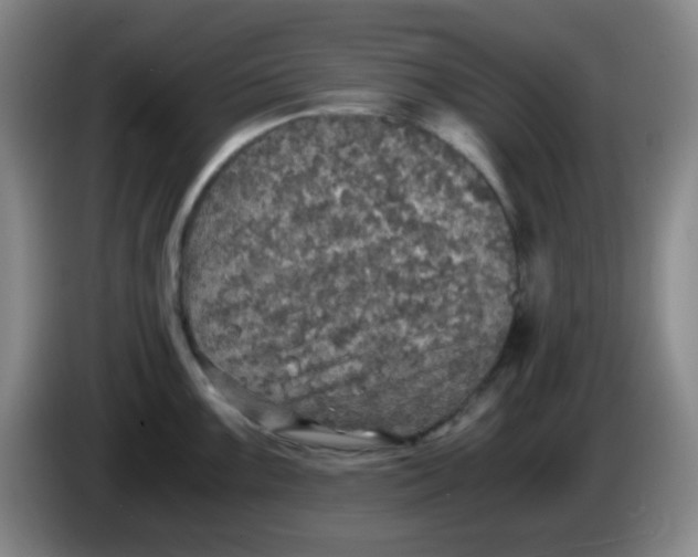 X0000083981099200703091818