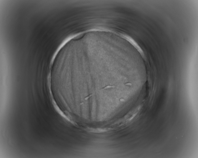 X0000083981100200703091818