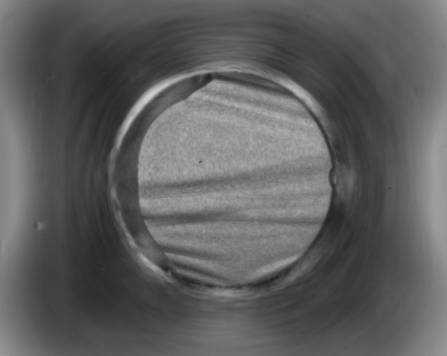 X0000083981102200703091818