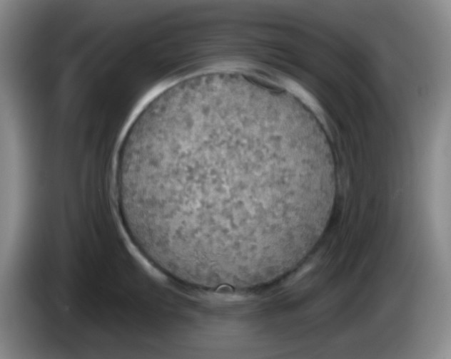 X0000083981103200703091818