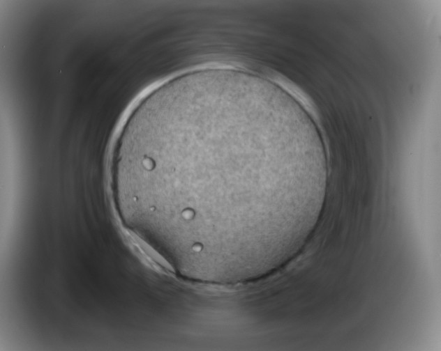 X0000083981104200703091818