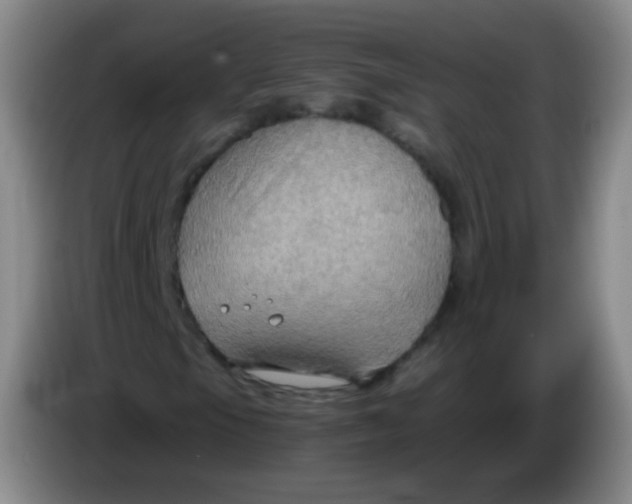 X0000083981105200703091818