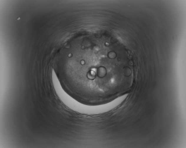 X0000083981106200703091818