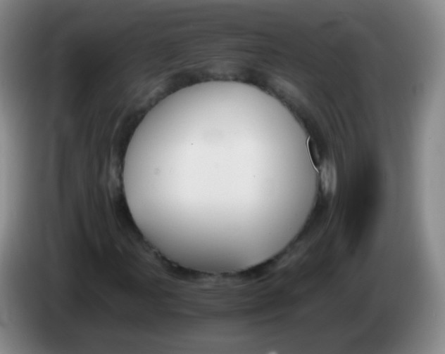 X0000083981107200703091818