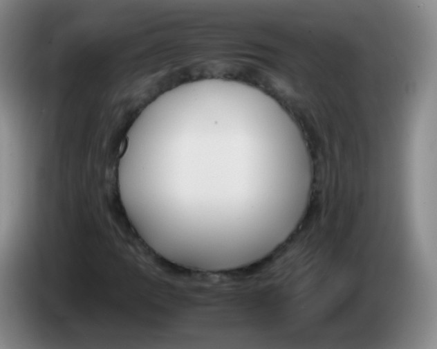 X0000083981109200703091818