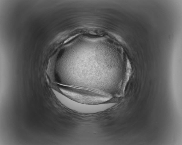 X0000083981110200703091818