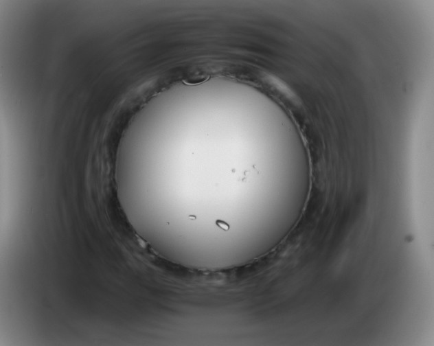 X0000083981111200703091818