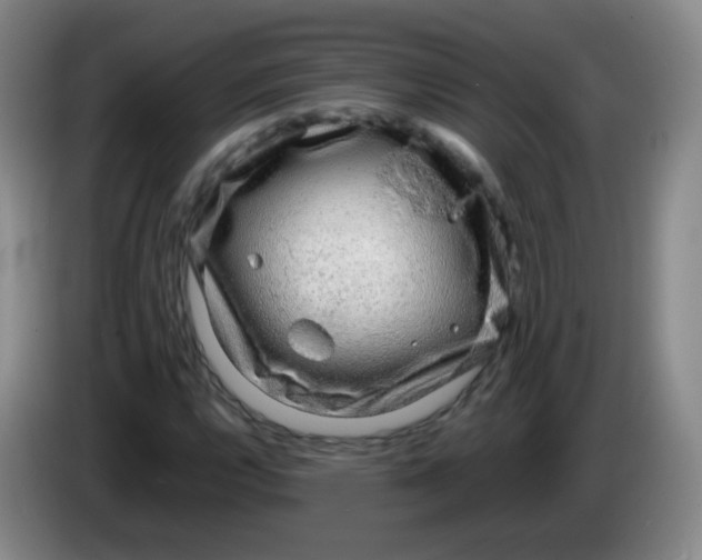 X0000083981112200703091818