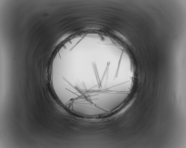 X0000083981113200703091818