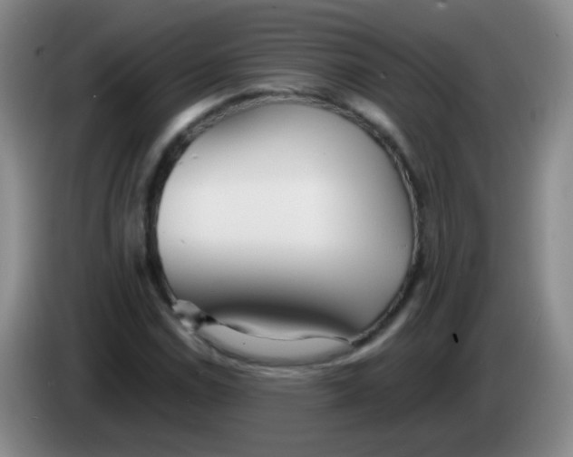 X0000083981114200703091818