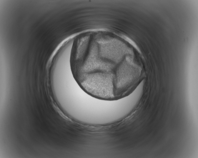 X0000083981116200703091818