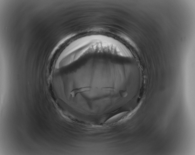 X0000083981117200703091818