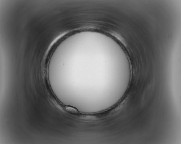 X0000083981119200703091818