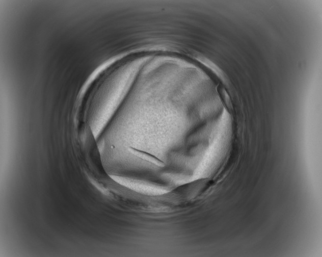 X0000083981120200703091818