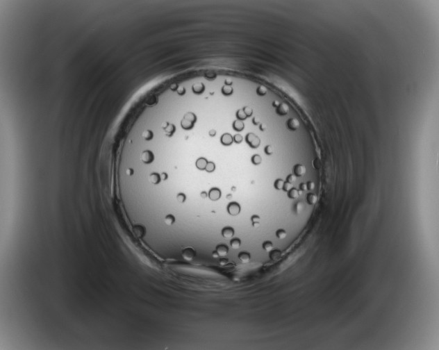 X0000083981123200703091818