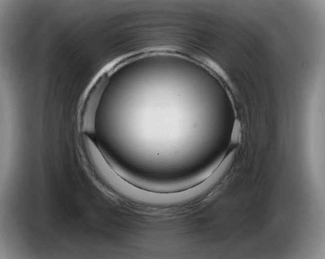 X0000083981124200703091818