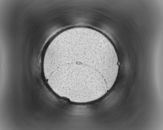 X0000083981126200703091818