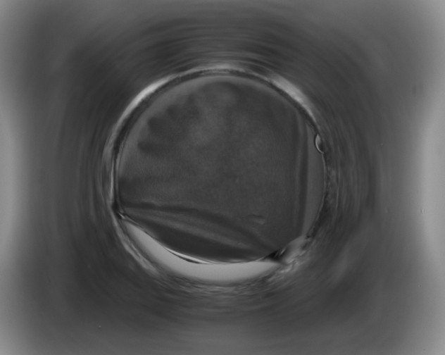 X0000083981127200703091818