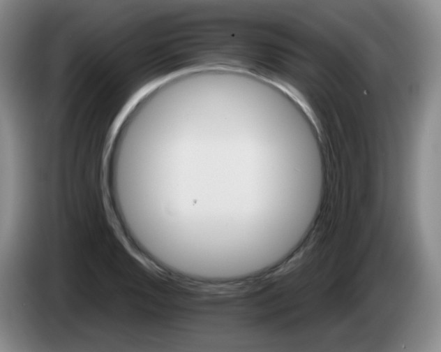 X0000083981128200703091818