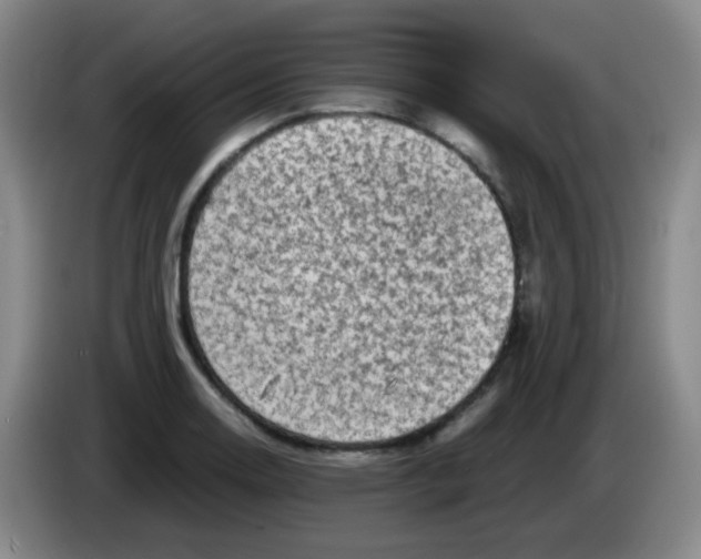 X0000083981130200703091818