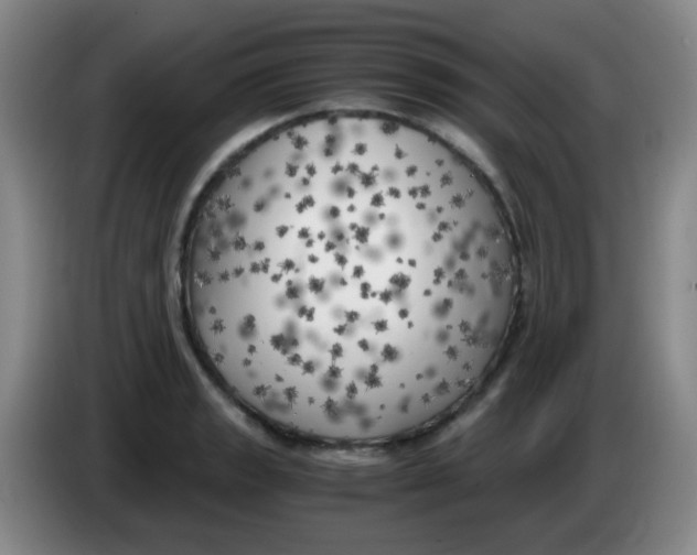 X0000083981133200703091818