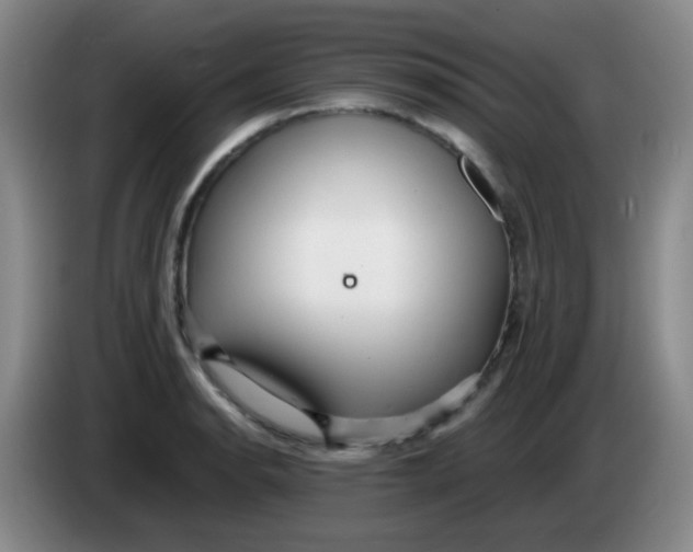 X0000083981134200703091818