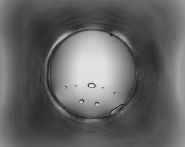 X0000083981135200703091818