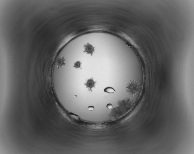 X0000083981137200703091818