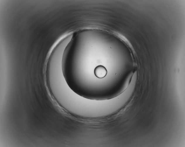 X0000083981138200703091818