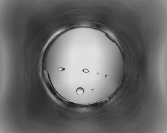 X0000083981139200703091818