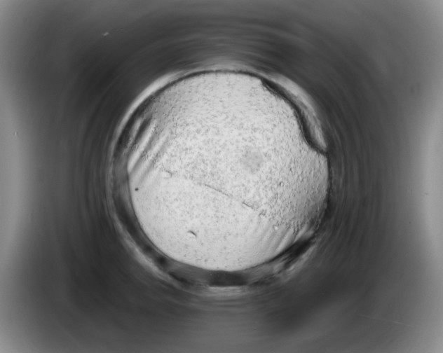 X0000083981142200703091818