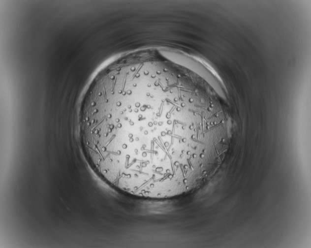 X0000083981143200703091818