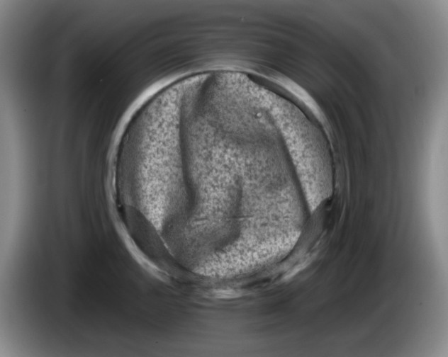 X0000083981144200703091818