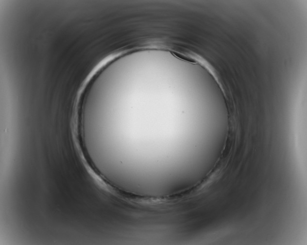 X0000083981147200703091818