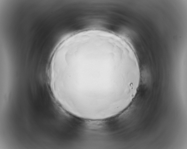 X0000083981150200703091818