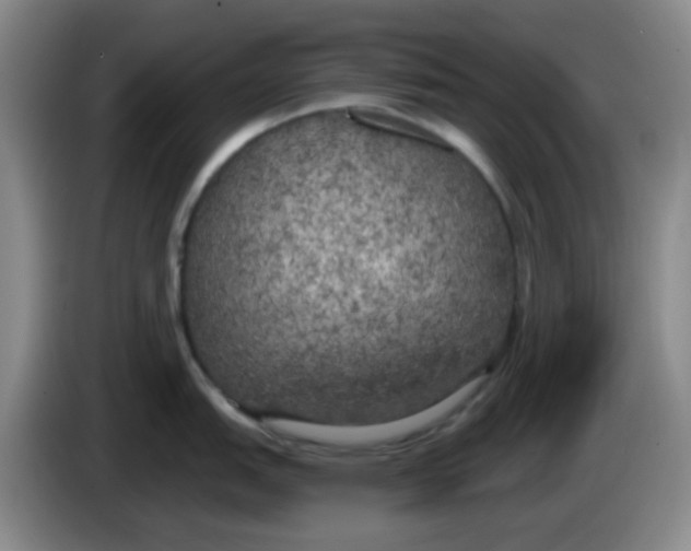 X0000083981151200703091818