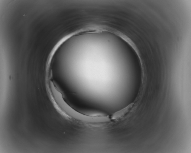 X0000083981152200703091818