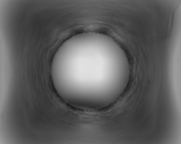 X0000083981153200703091818