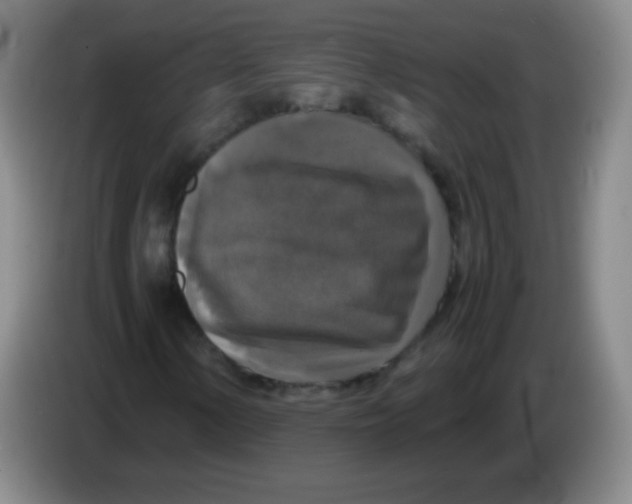 X0000083981154200703091818