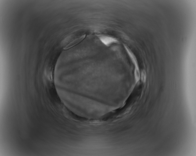 X0000083981155200703091818