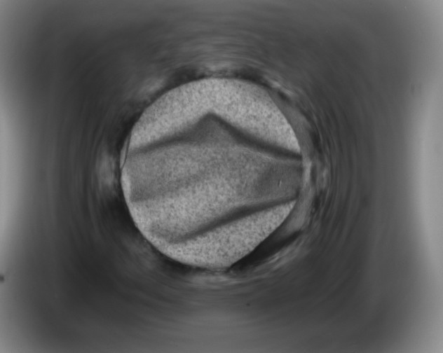 X0000083981156200703091818